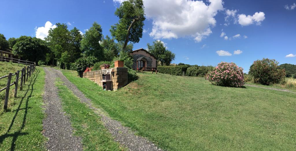 Il Castoro Di Martignano Vila Anguillara Sabazia Exterior foto