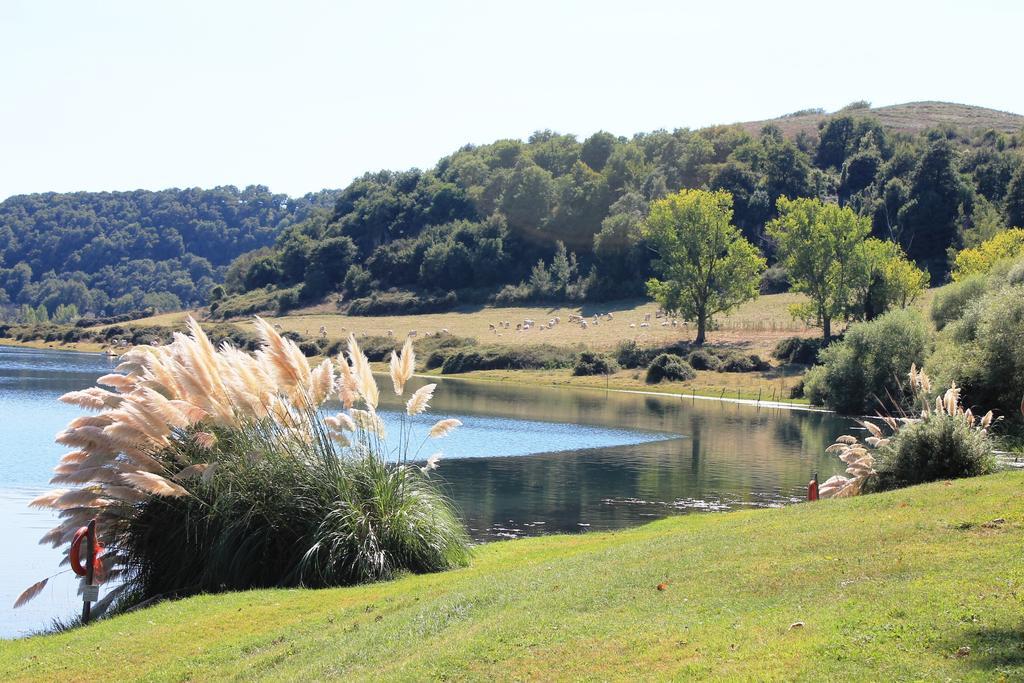 Il Castoro Di Martignano Vila Anguillara Sabazia Exterior foto