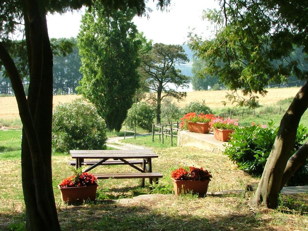 Il Castoro Di Martignano Vila Anguillara Sabazia Exterior foto