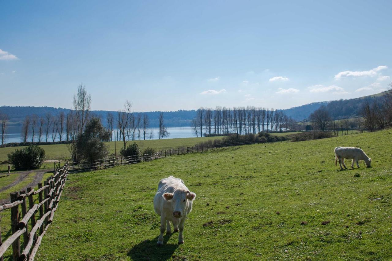 Il Castoro Di Martignano Vila Anguillara Sabazia Exterior foto